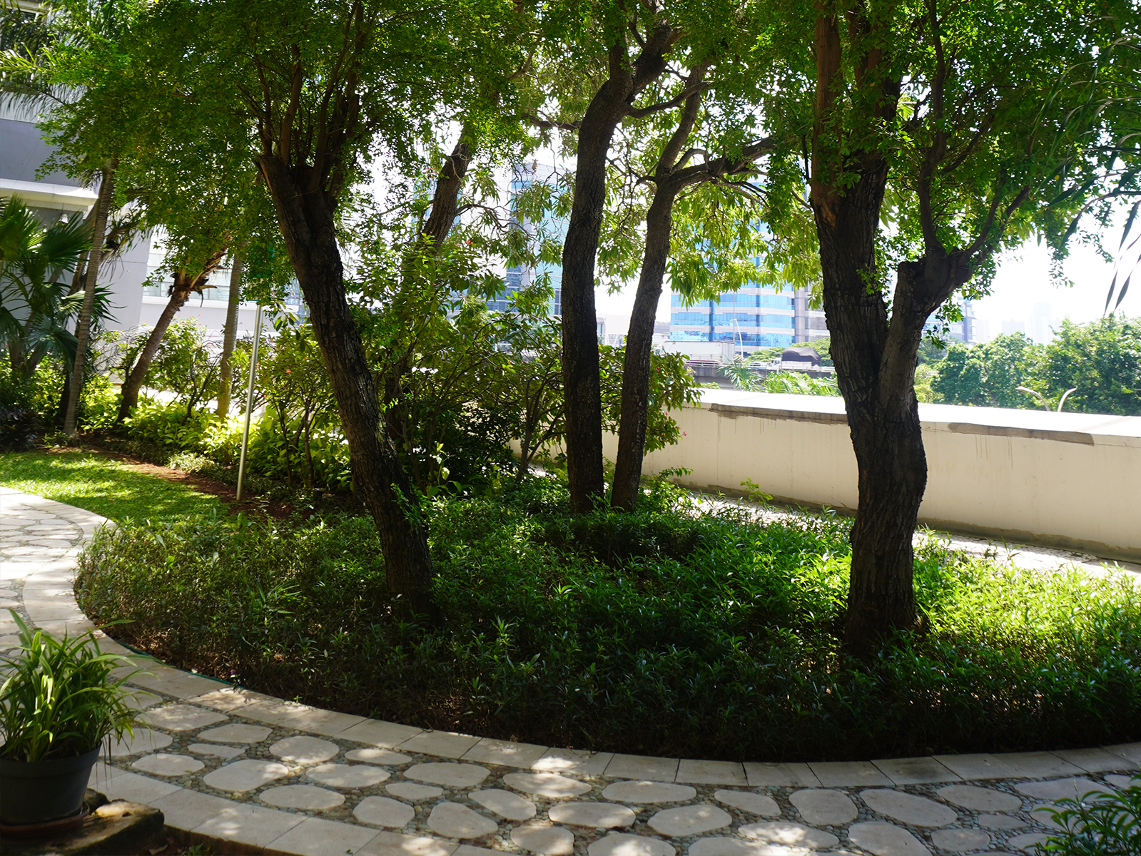 upload/facility_information/jogging track/jogging-track3.jpg